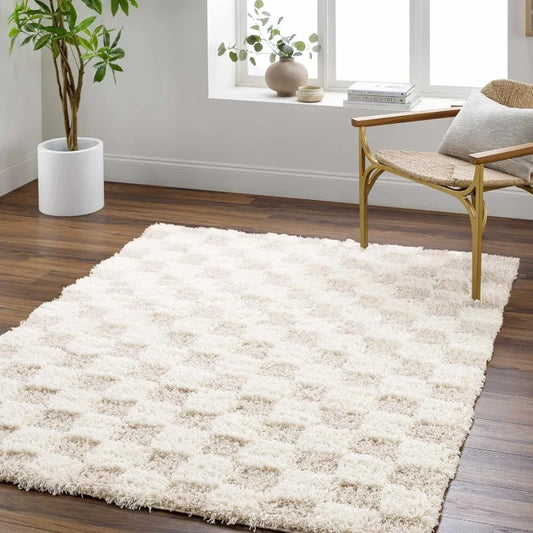 Contemporary Checkered Shag Rug